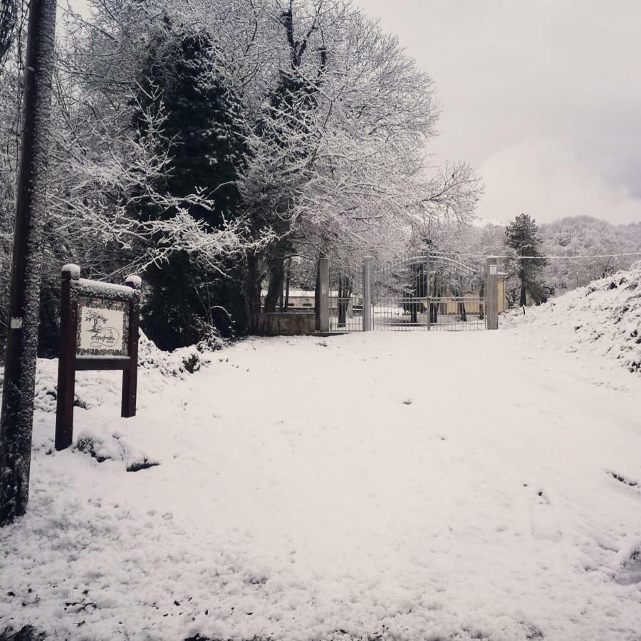 Agriturismo Acquafredda Villa Mormanno Luaran gambar